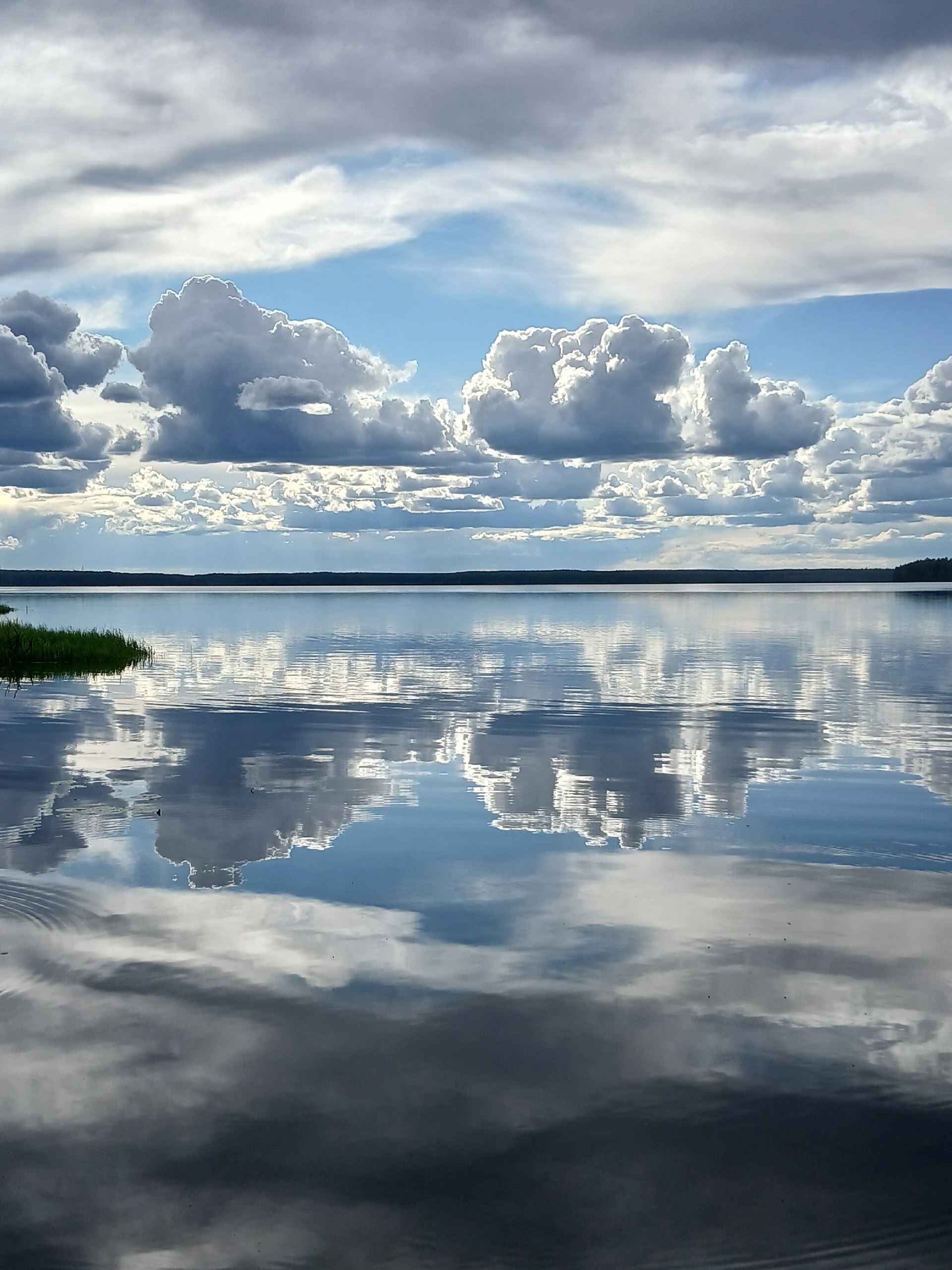 Идеальное лето: до +26°С и немного ветра в четверг ожидается в Карелии