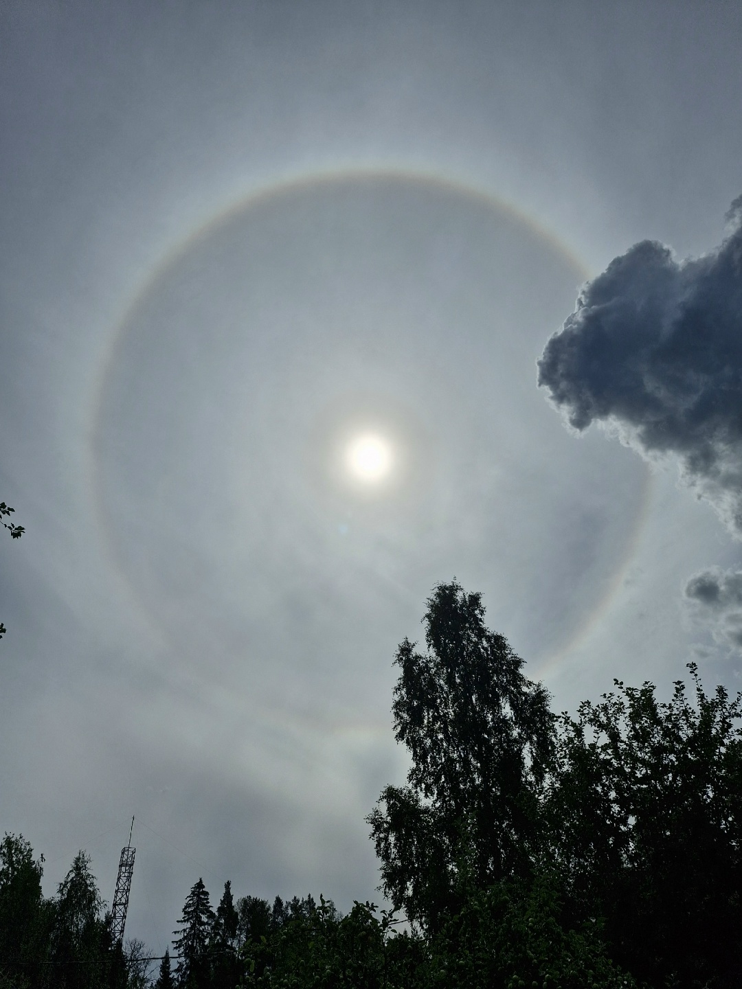 Солнечное гало заметили над Онего в Карелии