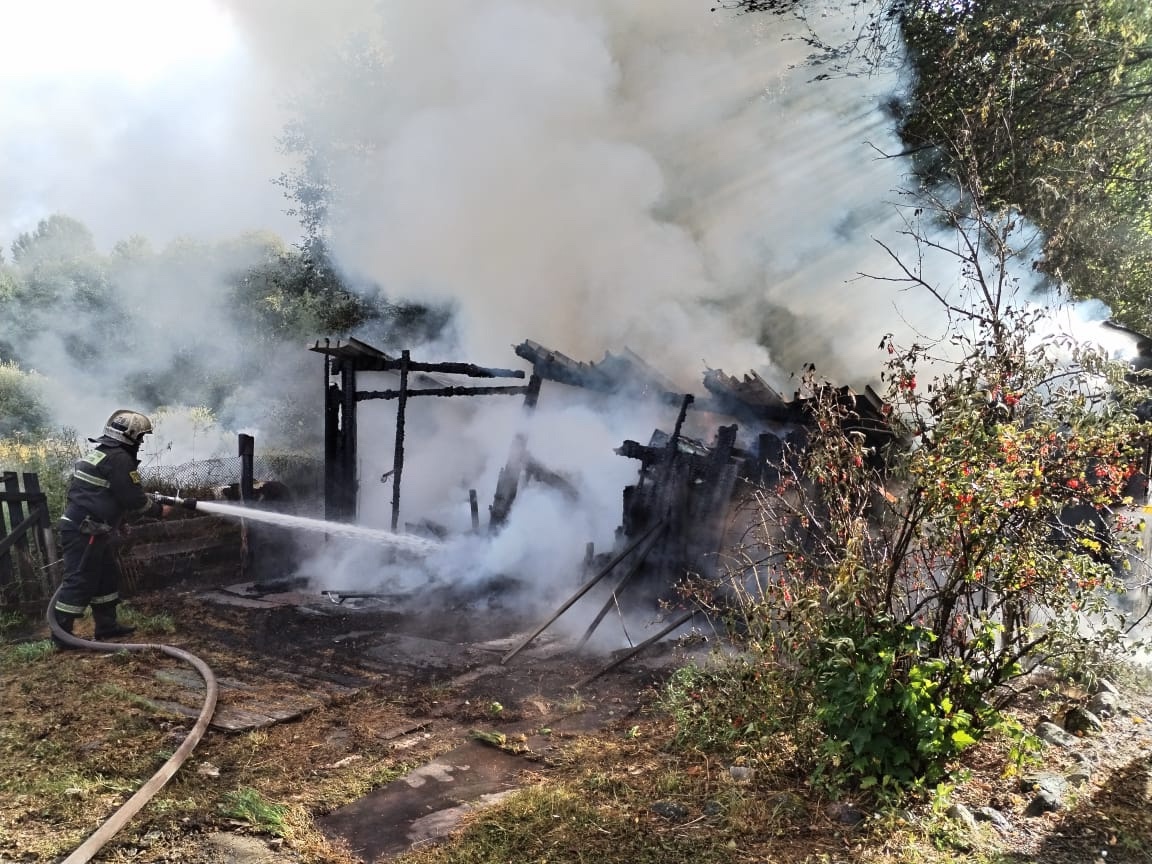 Удар молнии привел к пожару в урочище Падройла Пряжинского района