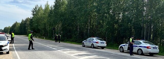 В Карелии пугающе растет число пьяных за рулем: грядут массовые проверки