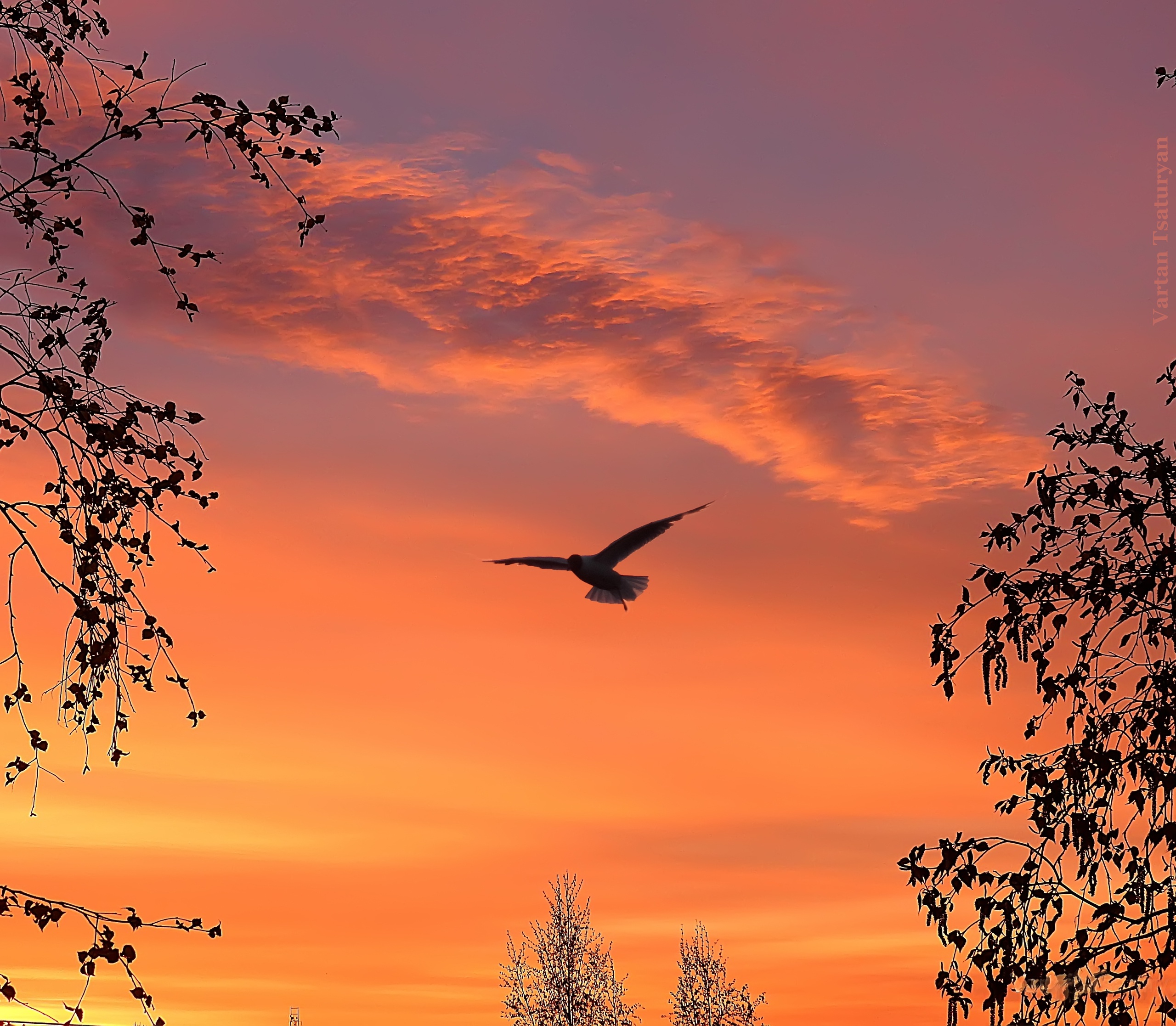 Грозовая стихия накроет Карелию 2 августа, но столбик термометра удержит +29°С