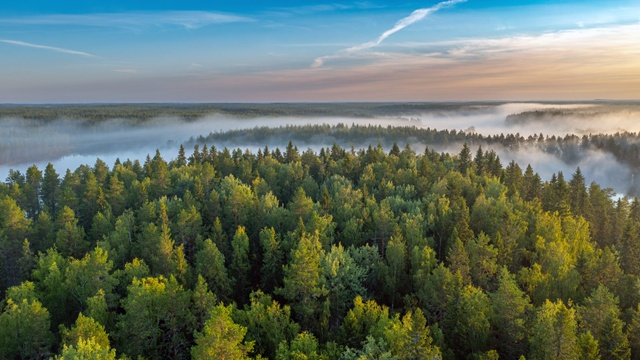 Кратковременные дожди ожидают жителей Карелии в среду