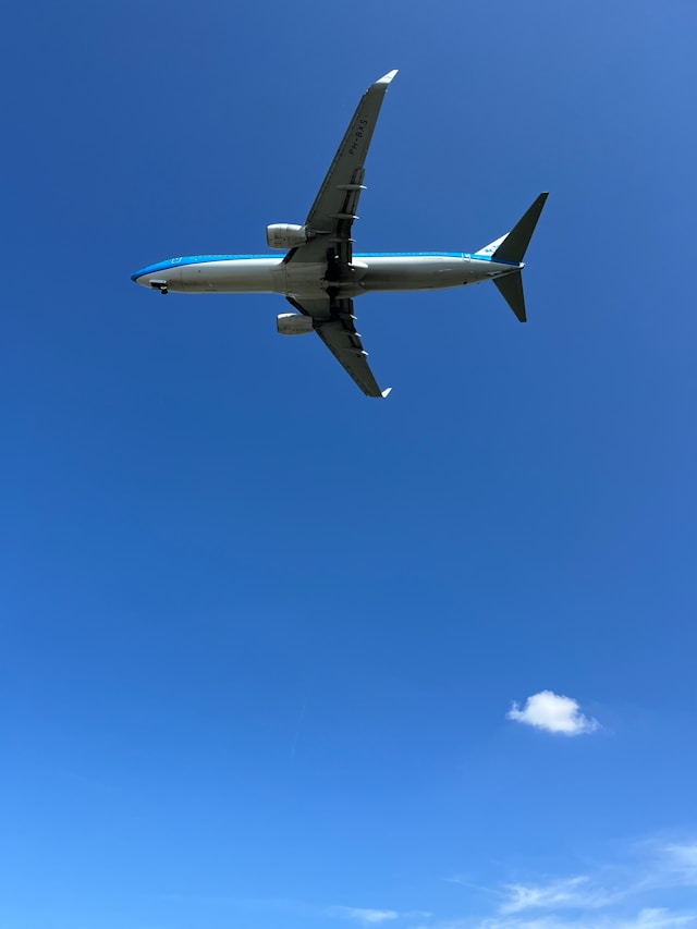 Пулково возобновил работу после 20 часов ограничений