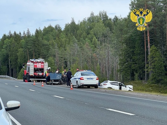 Прокуратура проверяет обстоятельства смертельного ДТП в Пряжинском районе