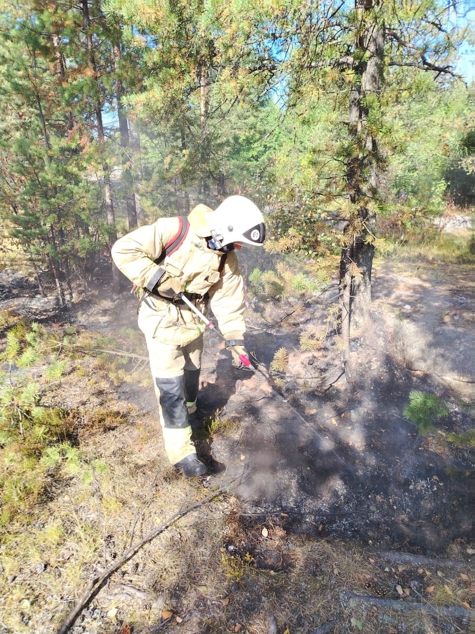 Пожарные остановили огонь, подбиравшийся к постройкам в Беломорске