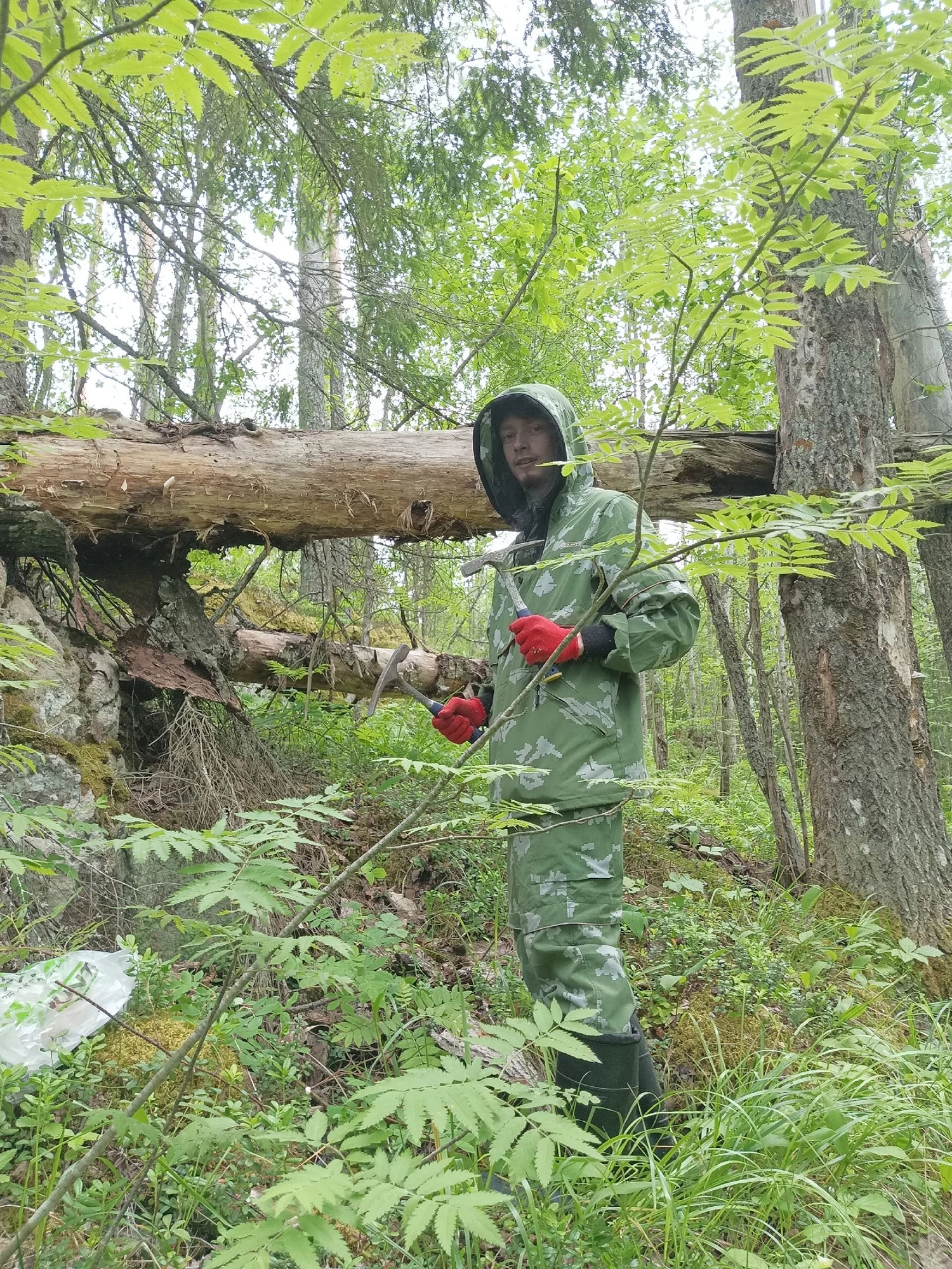 Карельский ученый создал 3D-модели древнейших построек Земли