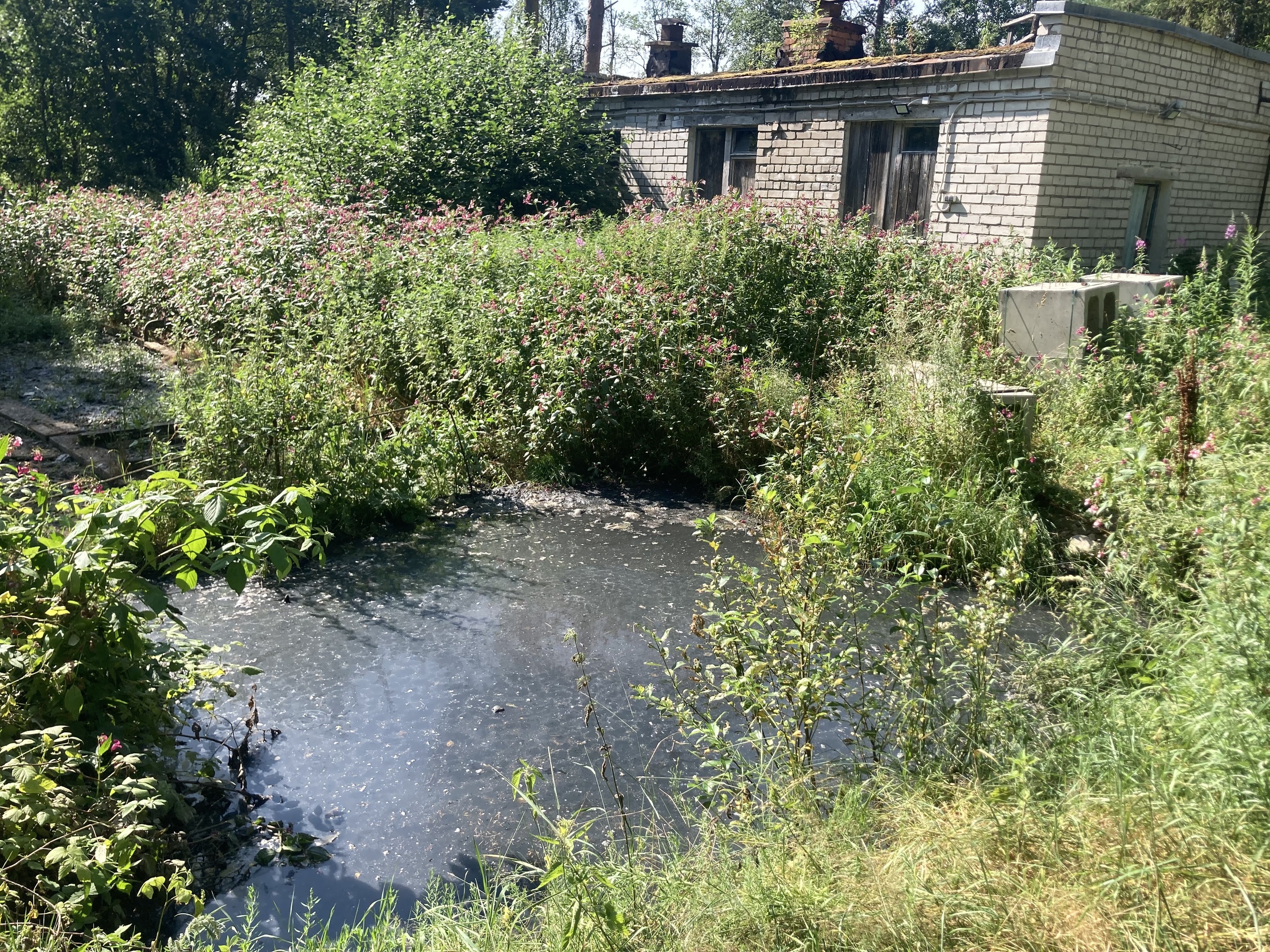 В одном из карельских поселков нечистоты сливаются в котлован