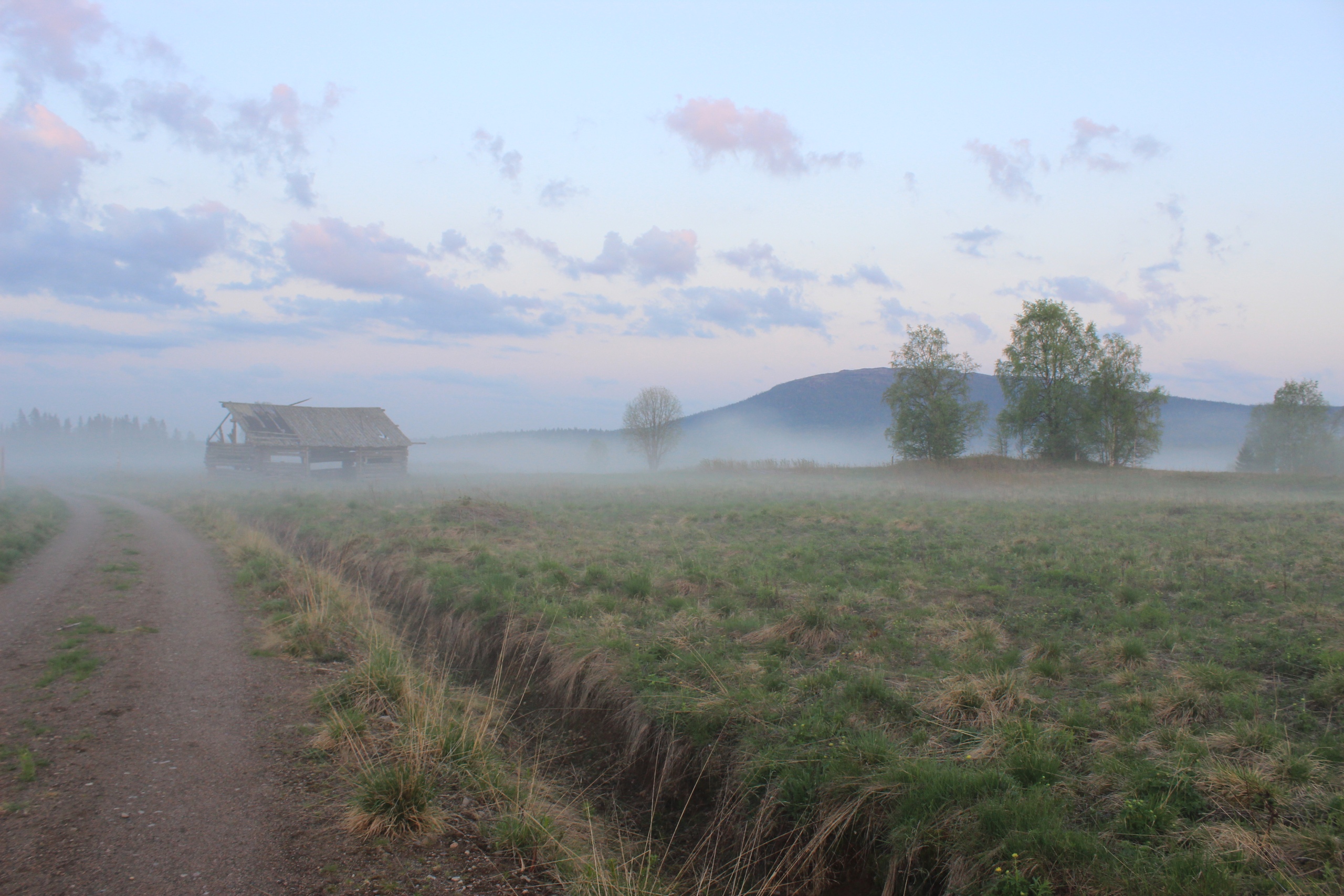 Нацпарк в Карелии получит 18 млн рублей на мониторинг биоразнообразия