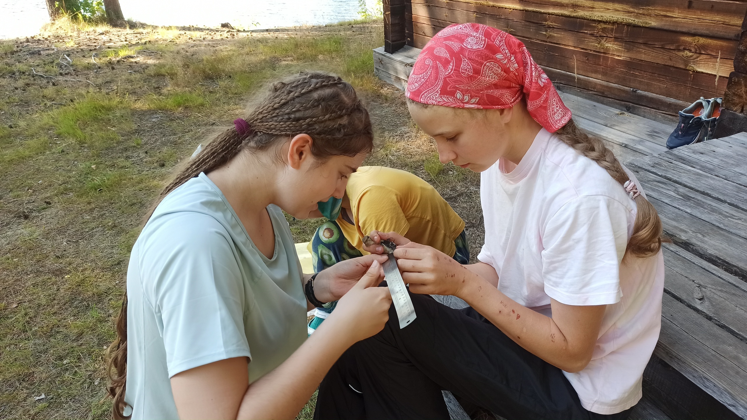 «Было все»: эти летом школьники Карелии постигали науку