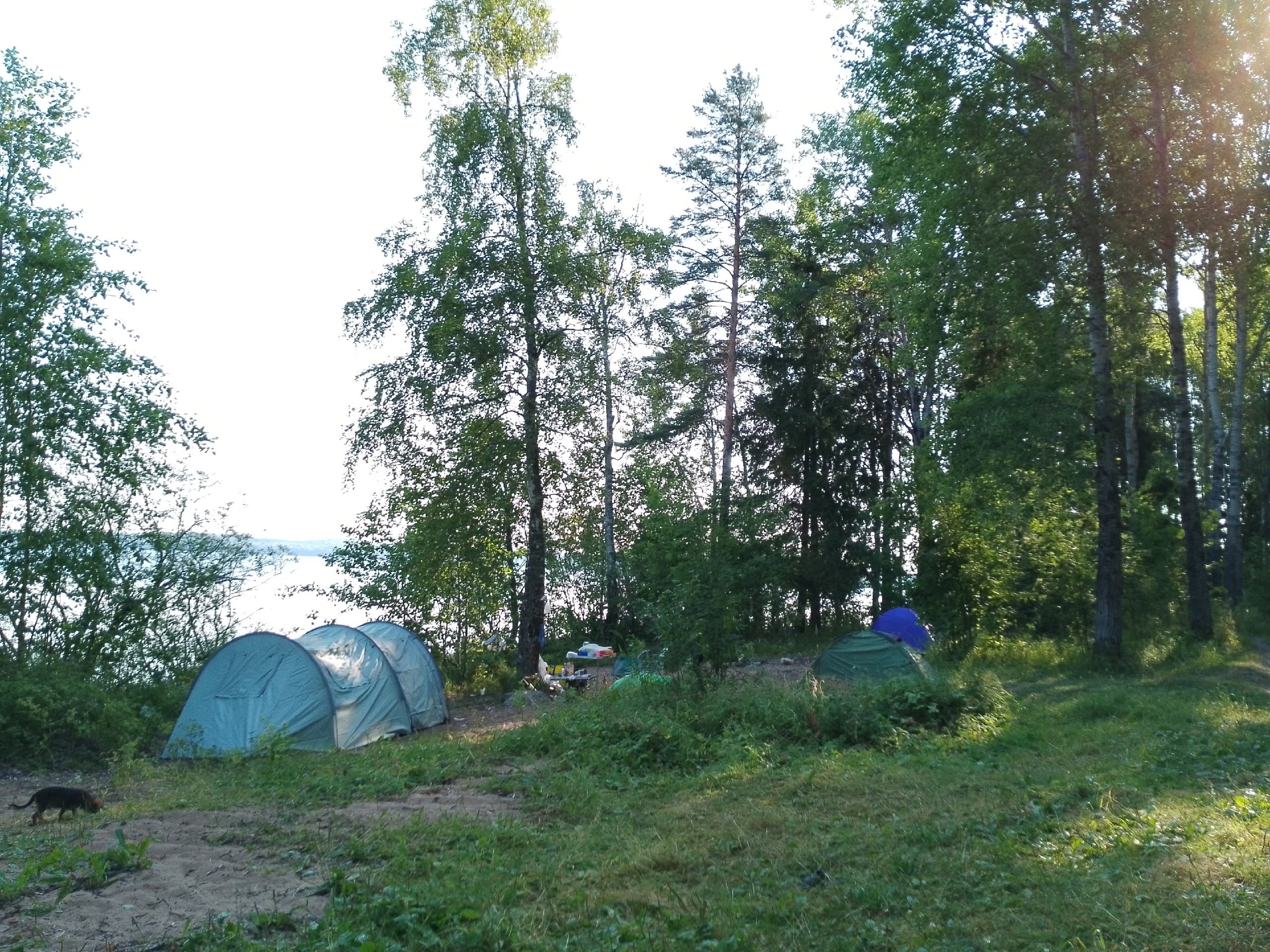 Карельские пляжи наводнили туристы — вместе с нарушениями