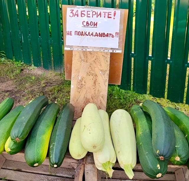 Ближе к осени съедобных подкидышей стало больше в Сортавале