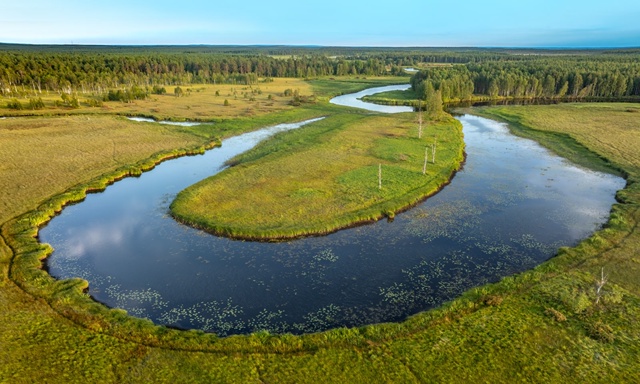 Вильфанд рассказал, какая погода прогнозируется на Северо-Западе России
