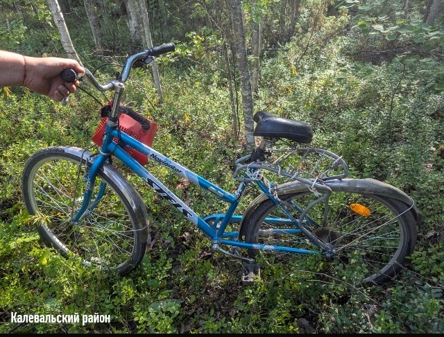 Потерявший управление велосипедист попал под колеса автомобиля в Карелии