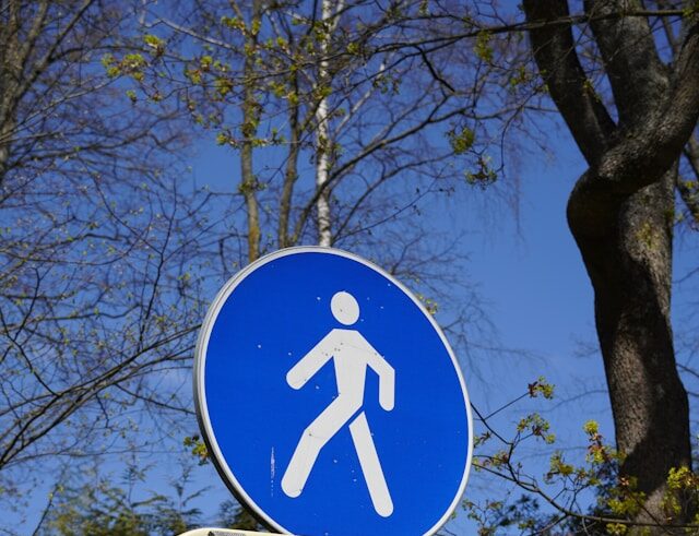 Центр Петрозаводска станет пешеходным