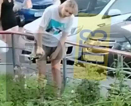 Петрозаводчане возмутились выгулу собак на газонах с цветами