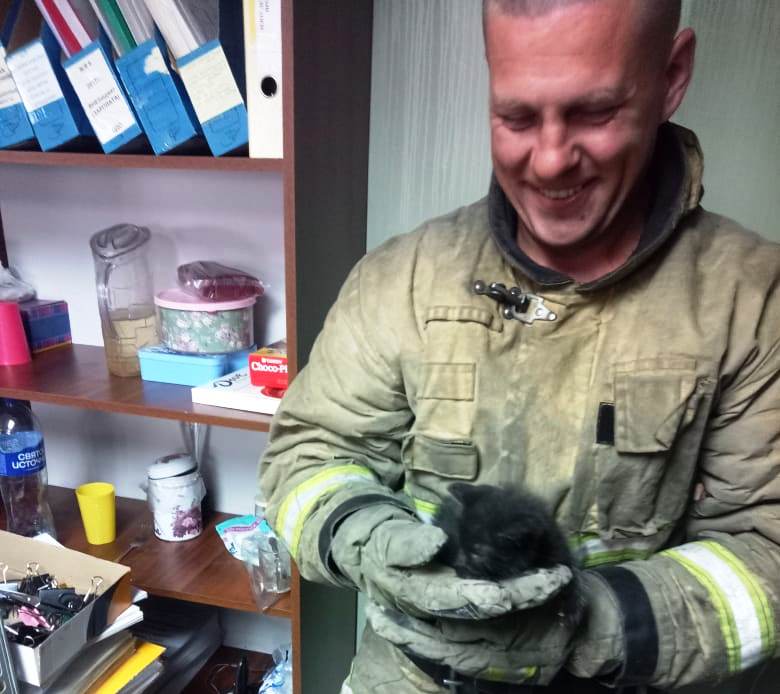 Пожарные спасли котенка, который упал в вентиляционную шахту в Беломорске