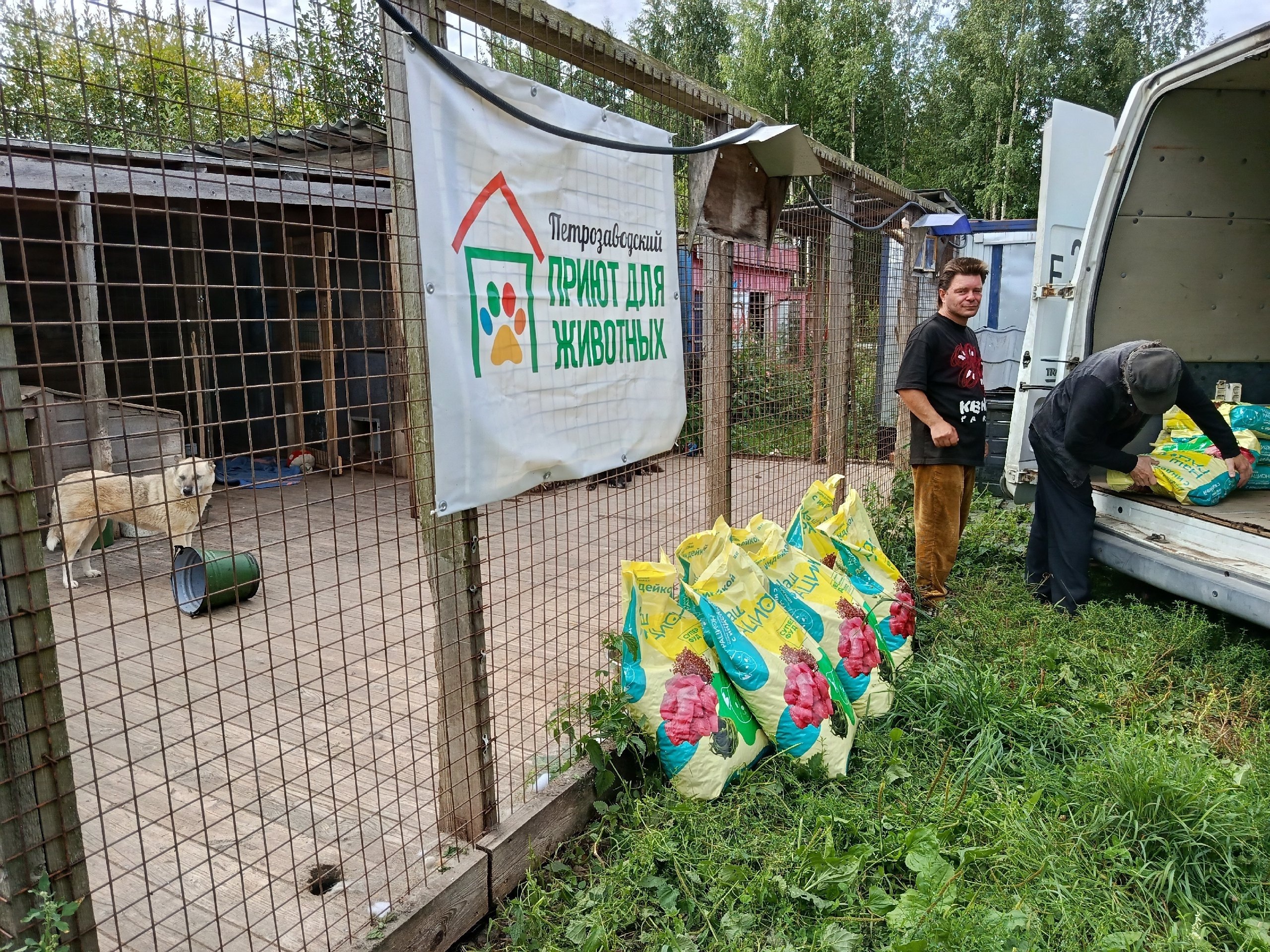 Белгородская компания бесплатно отгрузила 945 кг кормов приютам для животных в Карелии