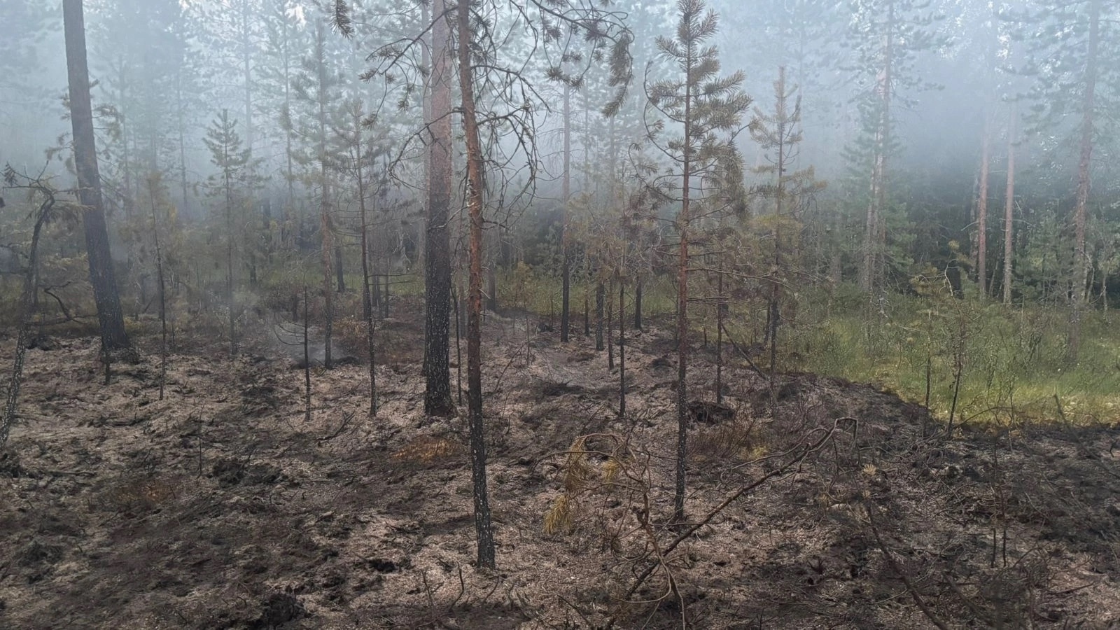 Торфяники горят в Кемском районе