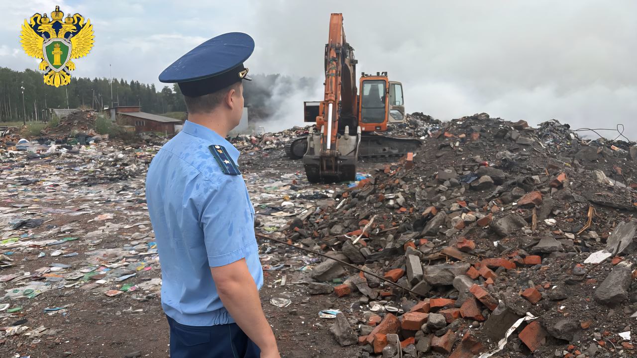 Прокуратура начала проверку после пожара на мусорном полигоне в Кондопожском округе