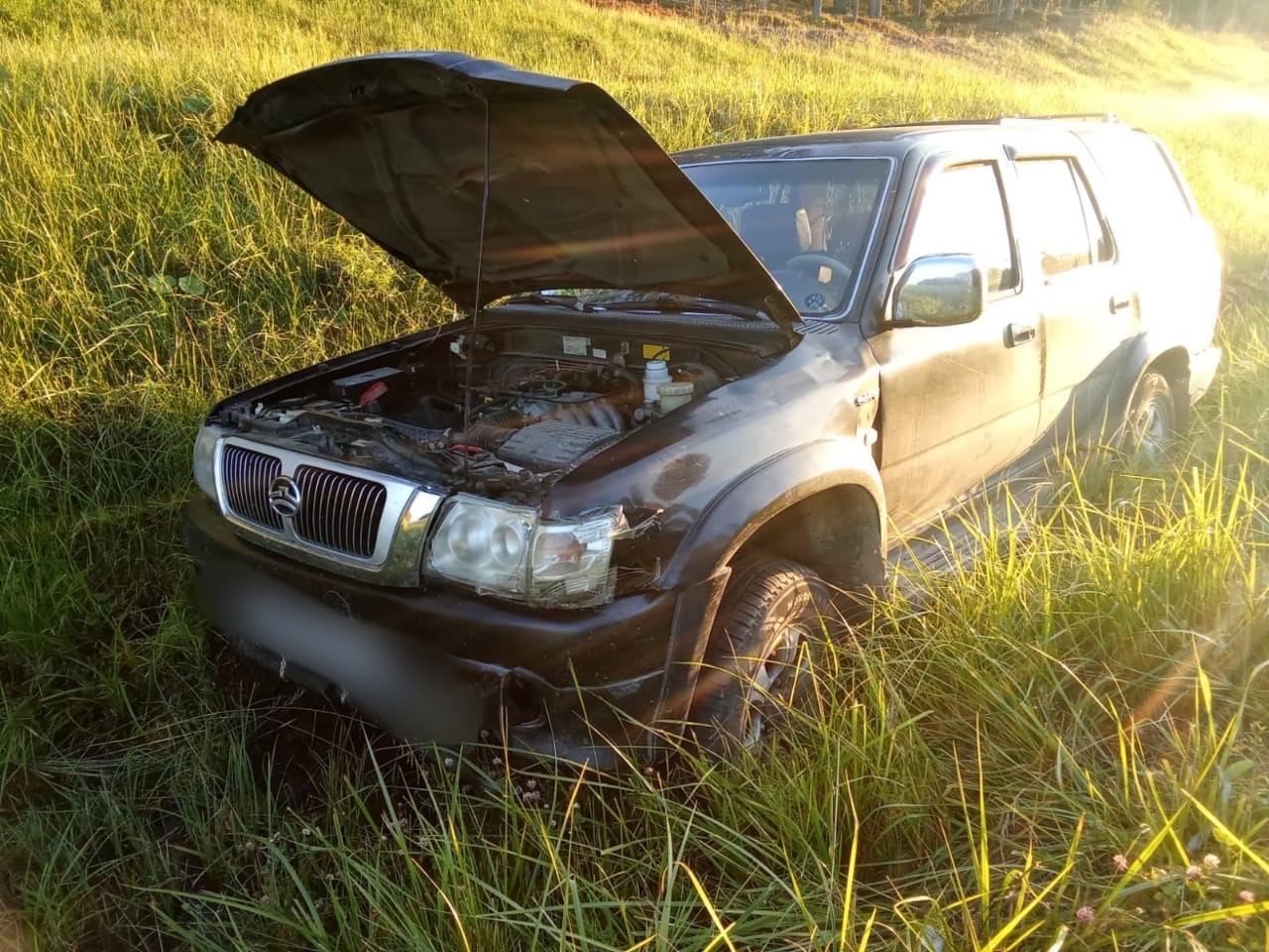 Женщину сбили на трассе в Карелии