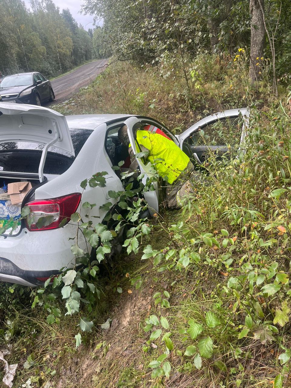 Двое детей и один взрослый пострадали при ДТП в Прионежском районе
