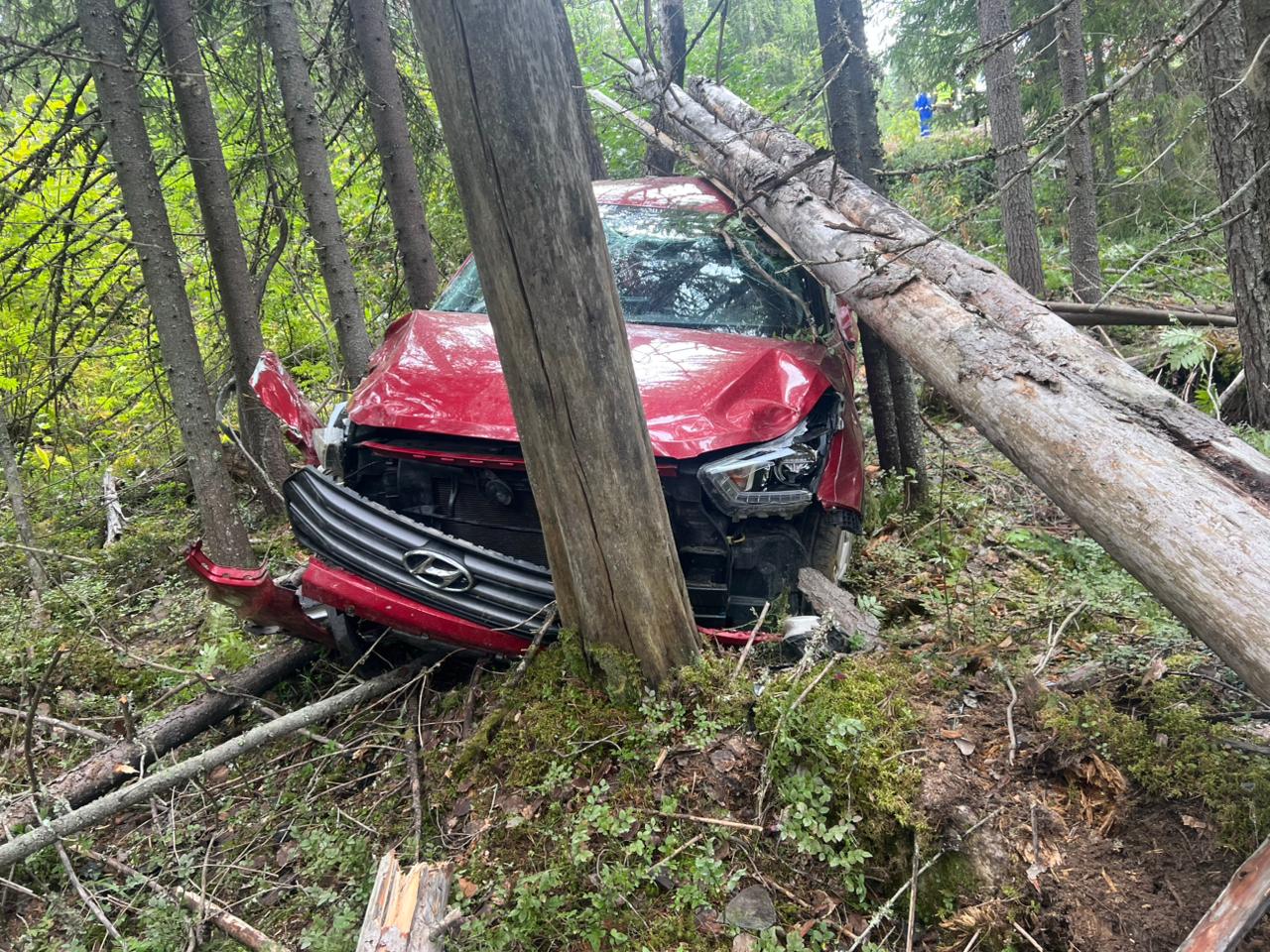 Разогнавшаяся иномарка на сложном участке дороги не миновала дерева: появились подробности ДТП в Суоярвском округе