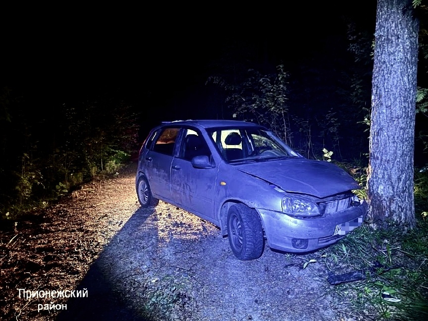 Пьяный водитель устроил ДТП с пострадавшими у дачного кооператива в Карелии