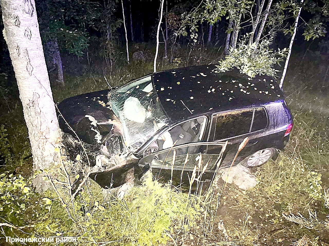 Ночную поездку нетрезвой автоледи остановило дерево в Прионежском районе