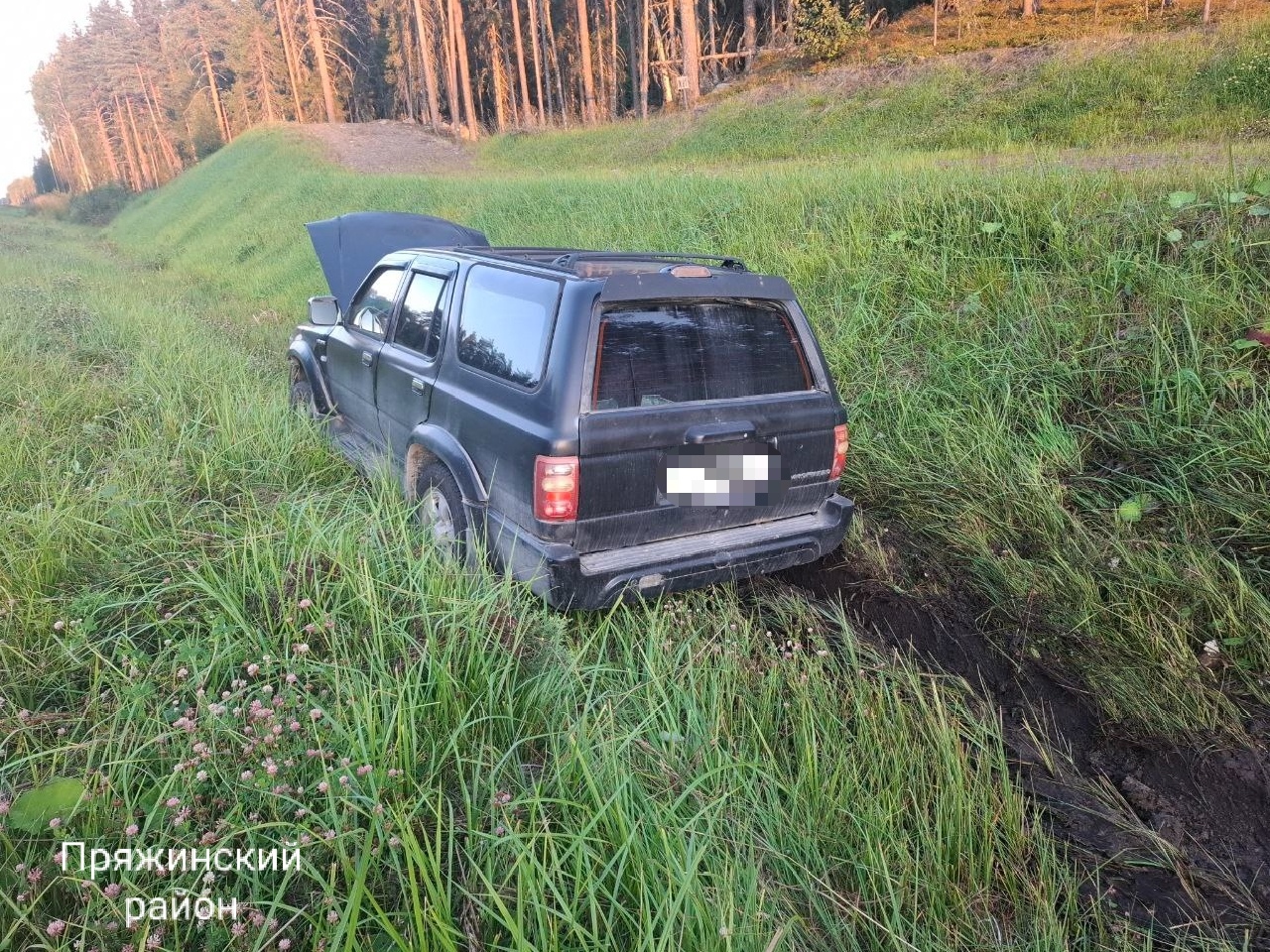 Свернул, чтобы не наехать на собаку: стало известно, как сбили женщину на трассе в Карелии