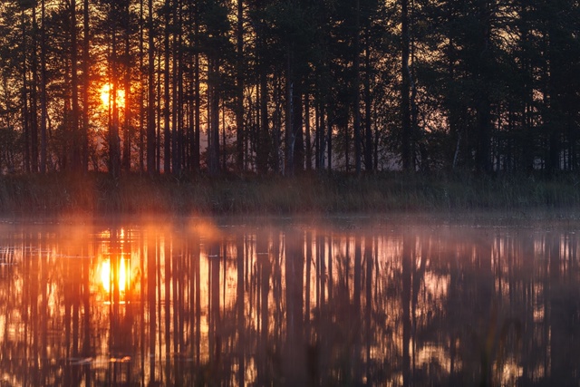 «Дыхание осени» совсем рядом: узнали прогноз погоды в Карелии до конца недели