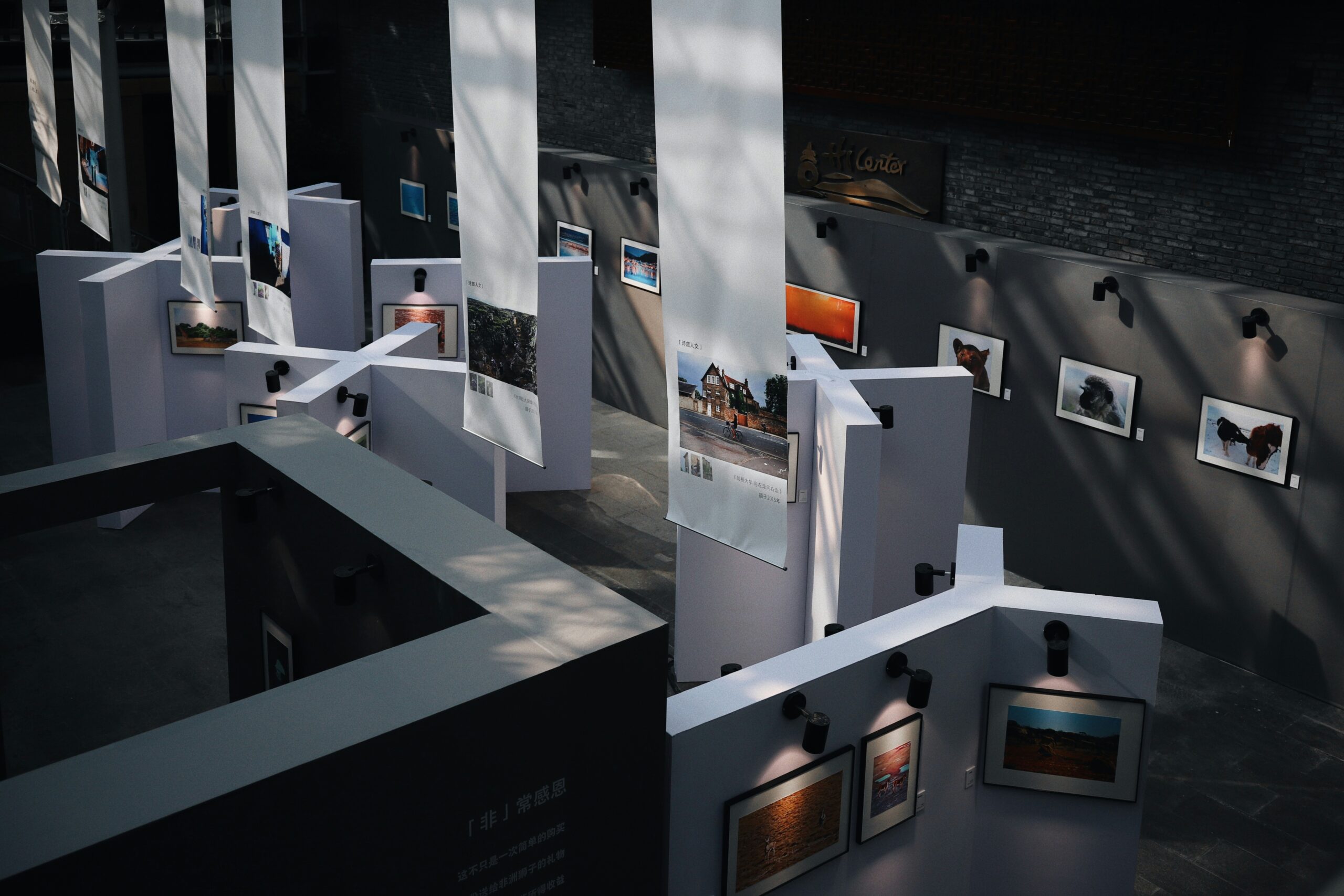 Виртуальная выставка в честь 10-летия акции «Усынови картину» откроется в сентябре