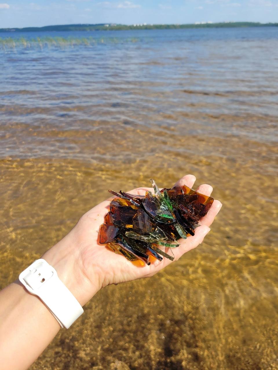 Стекла и мусор: городской пляж в Костомукше угрожает безопасности людей