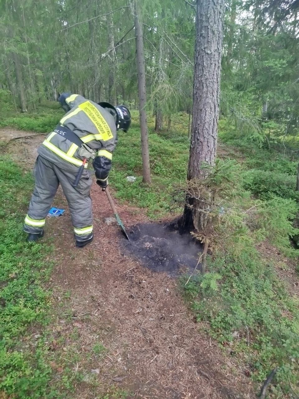 Жительница Карелии остановила пожар