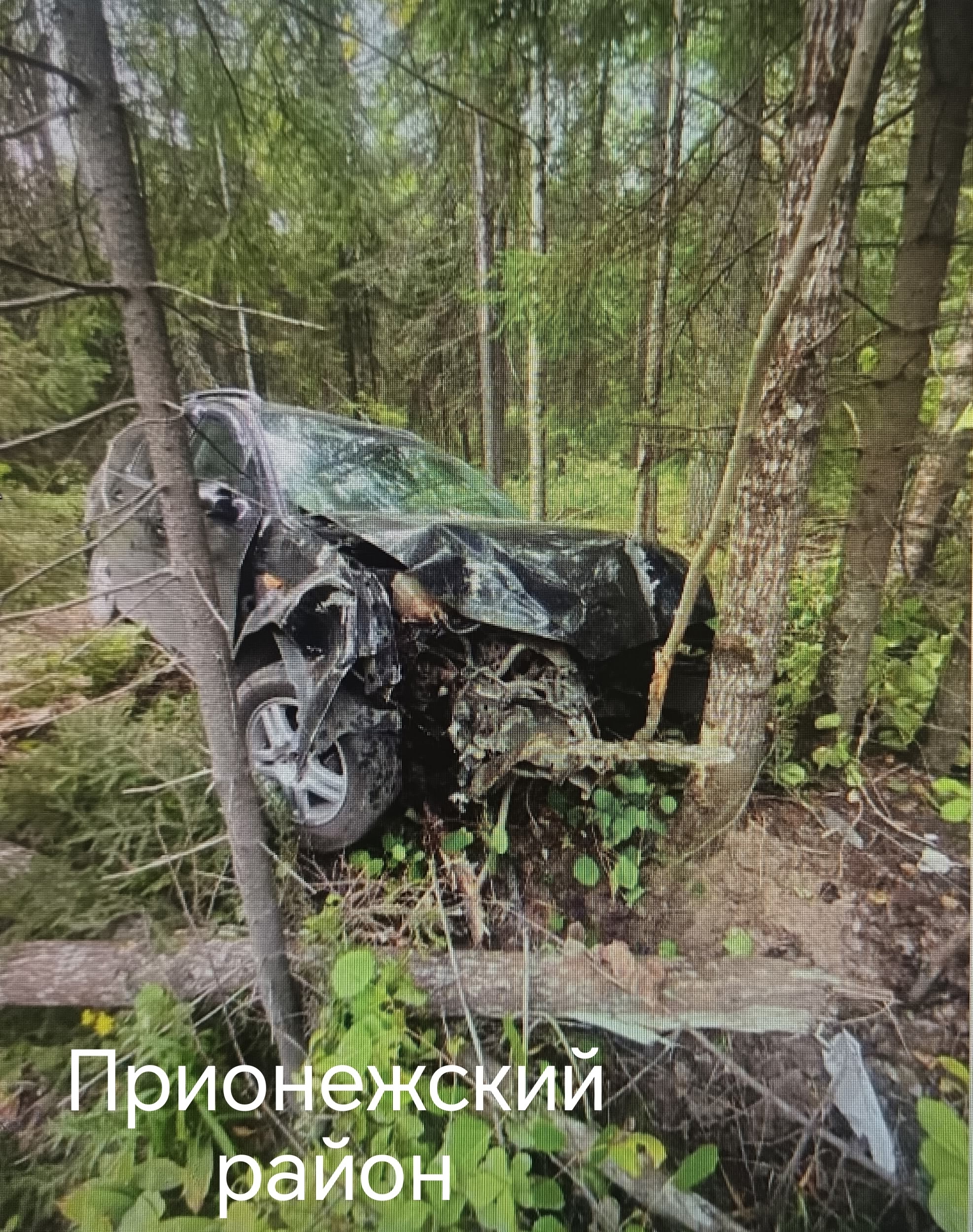 Легковушка вылетела в кювет в Прионежском районе