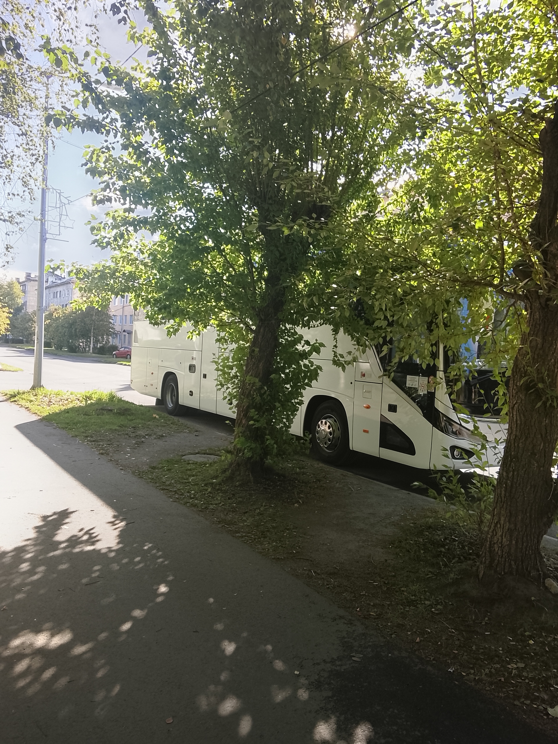 На севере Карелии туристический автобус создал неудобства для жителей