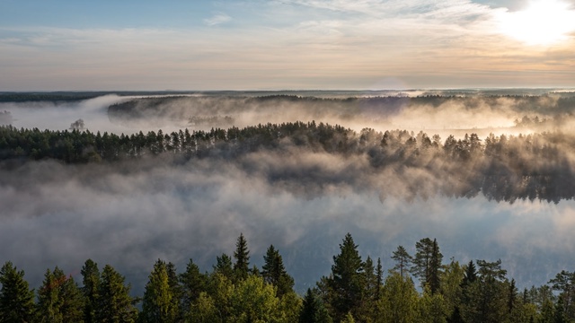 Врач объяснила частую причину хронической усталости осенью