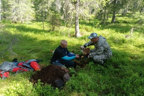 Карельские ученые возобновили исследования в Паанаярви