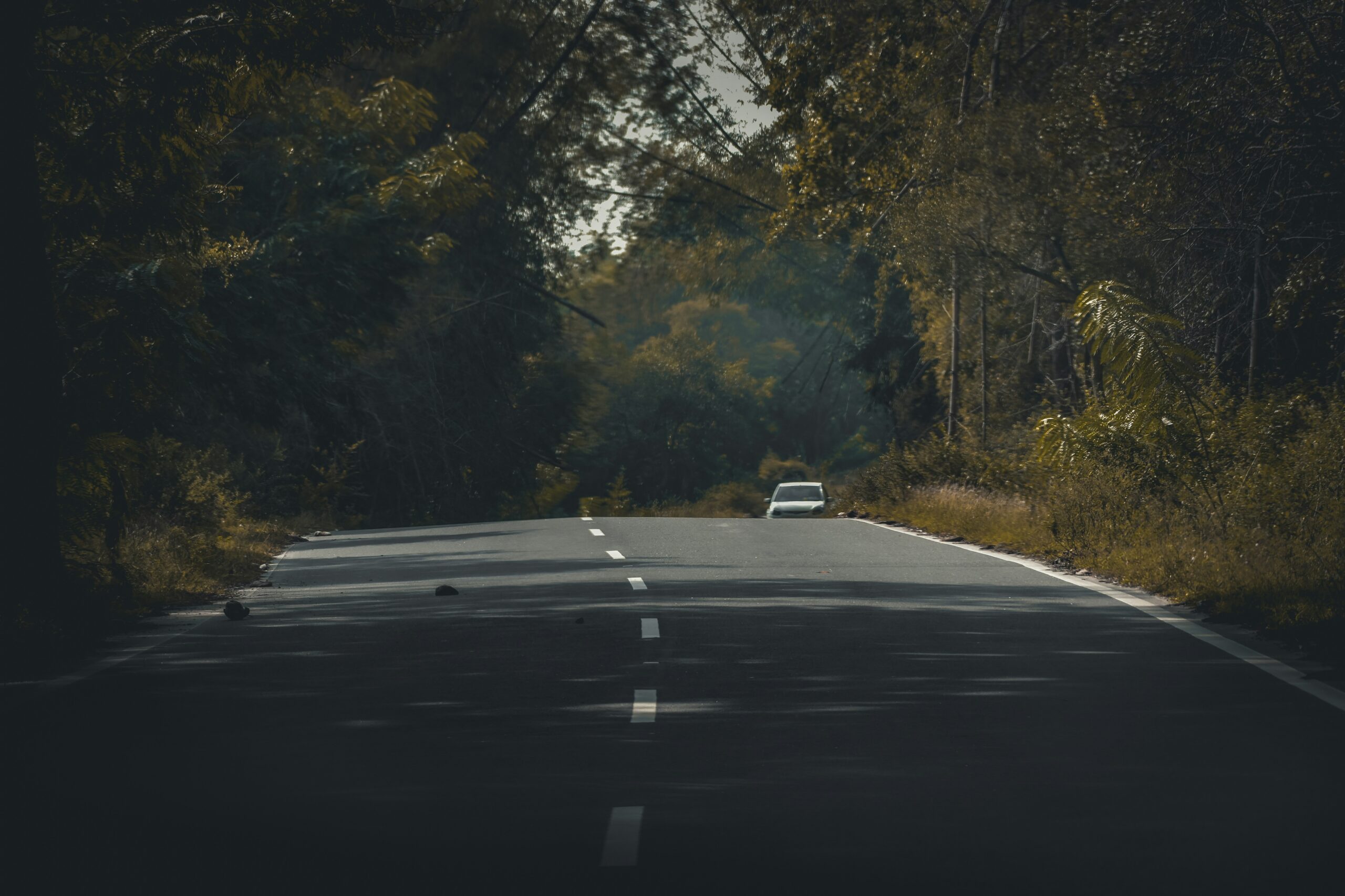 Жители Карелии поблагодарили дорожников песней