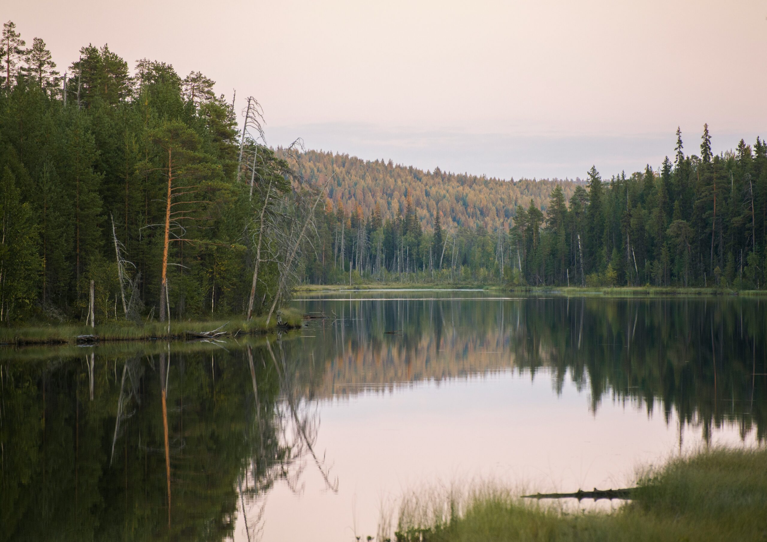 В Карелии деревня осталась без связи с большой землей
