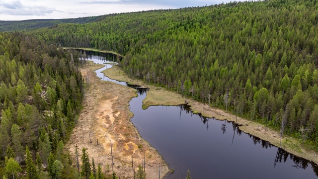 Посещение Водлозерского нацпарка разрешили в Карелии