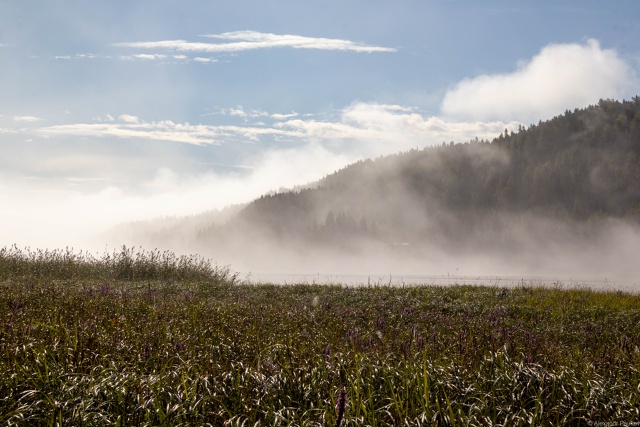 Синоптик Леус: заморозки взяли паузу в европейской части России