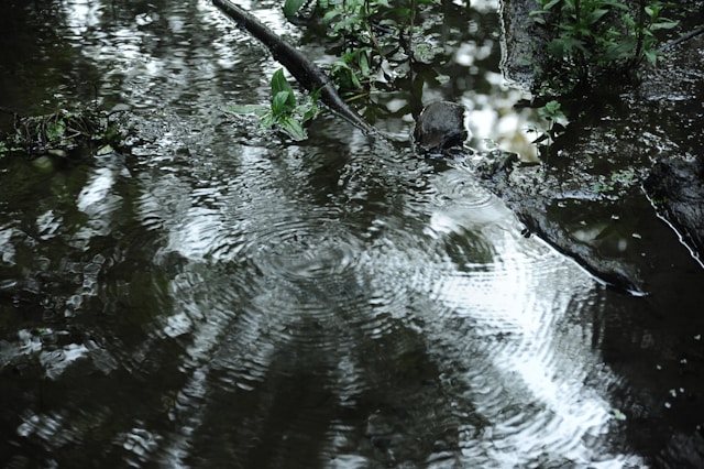 Утечкой в Беломорске займутся лишь через две недели: воды в домах не будет два дня