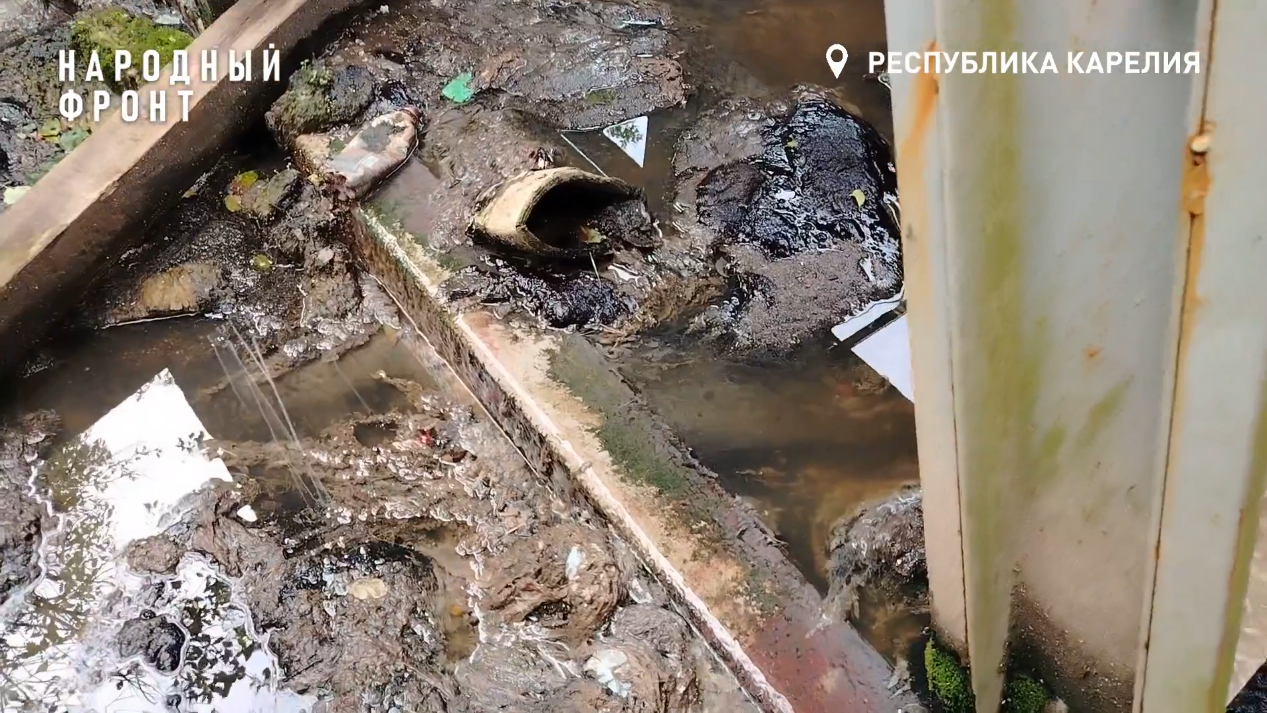 Народный фронт Карелии потребовал прекратить сброс нечистот в Онежское озеро