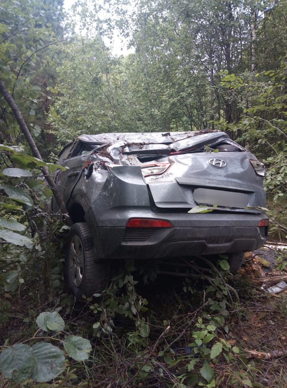 Автомобиль вылетел в кювет в Медвежьегорском районе