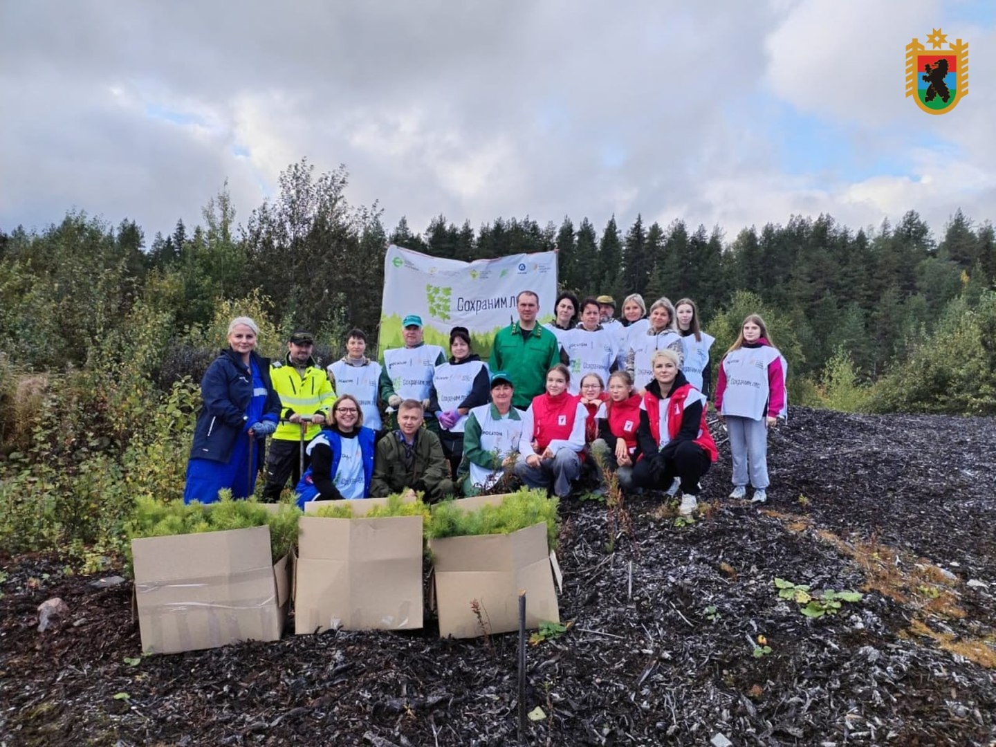 В Суоярвском округе высадили более 1000 деревьев на территории бывшей свалки