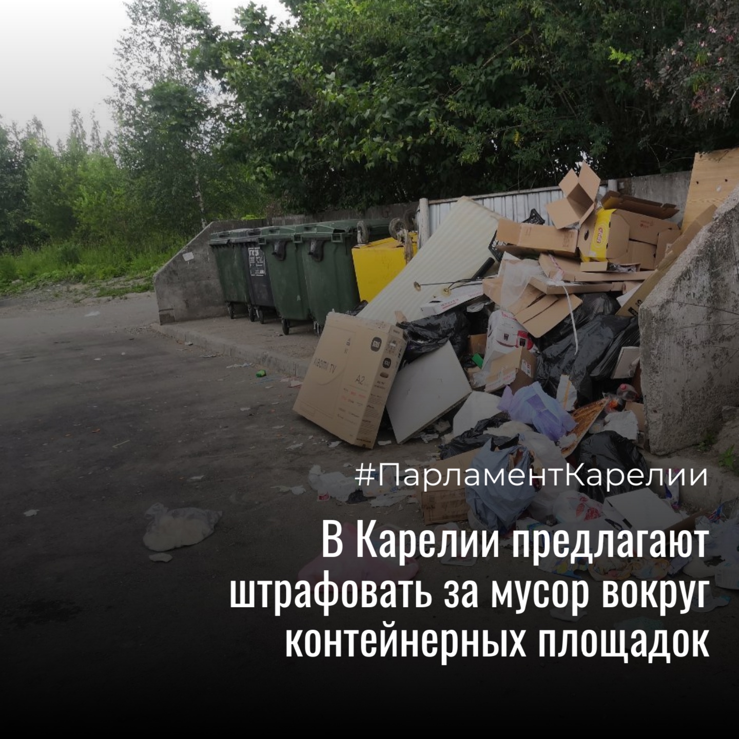 Карельских чиновников планируют штрафовать за грязь вокруг мусорных контейнеров