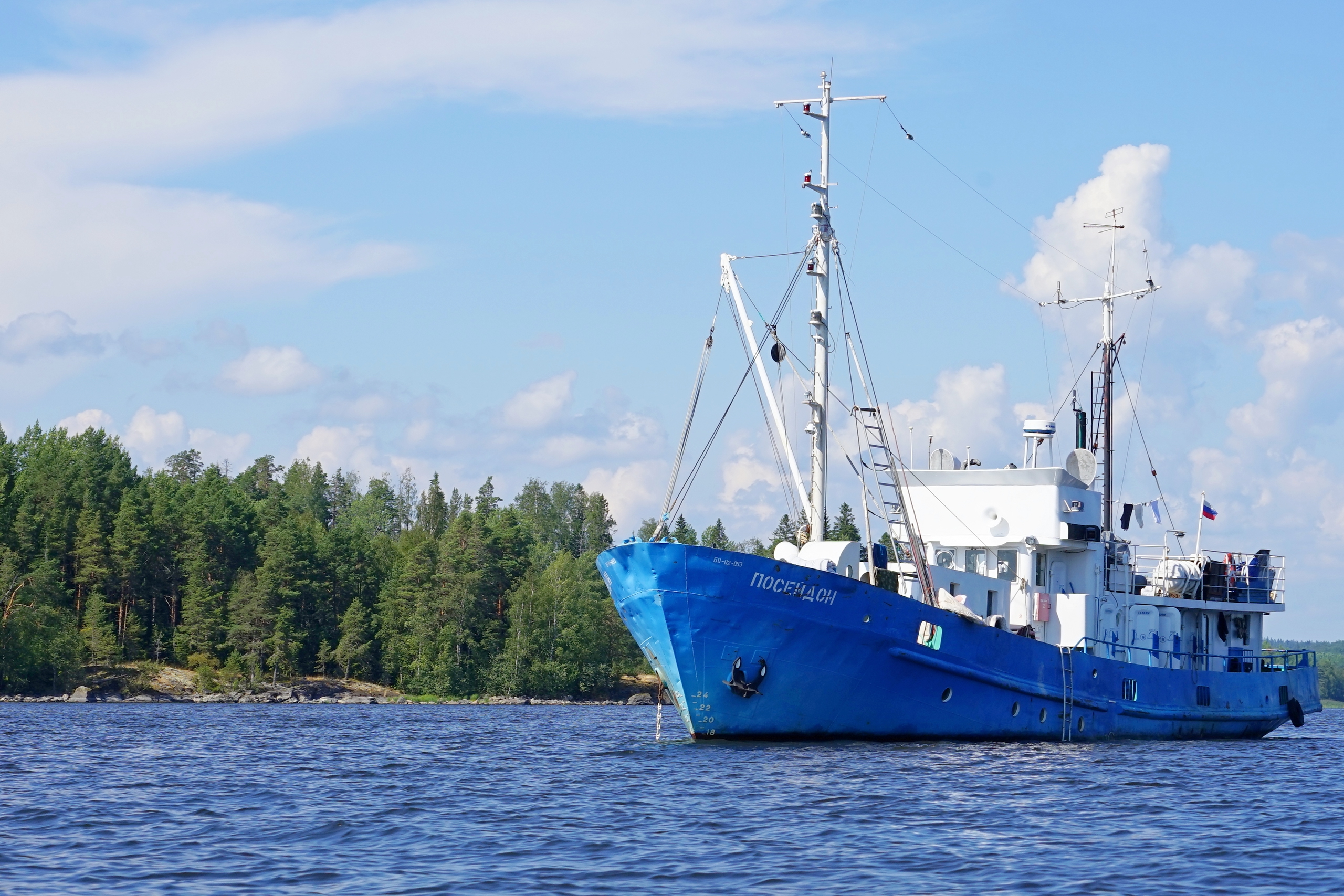 Тайны Ладоги: карельские ученые обнаружили пять новых видов летучих мышей