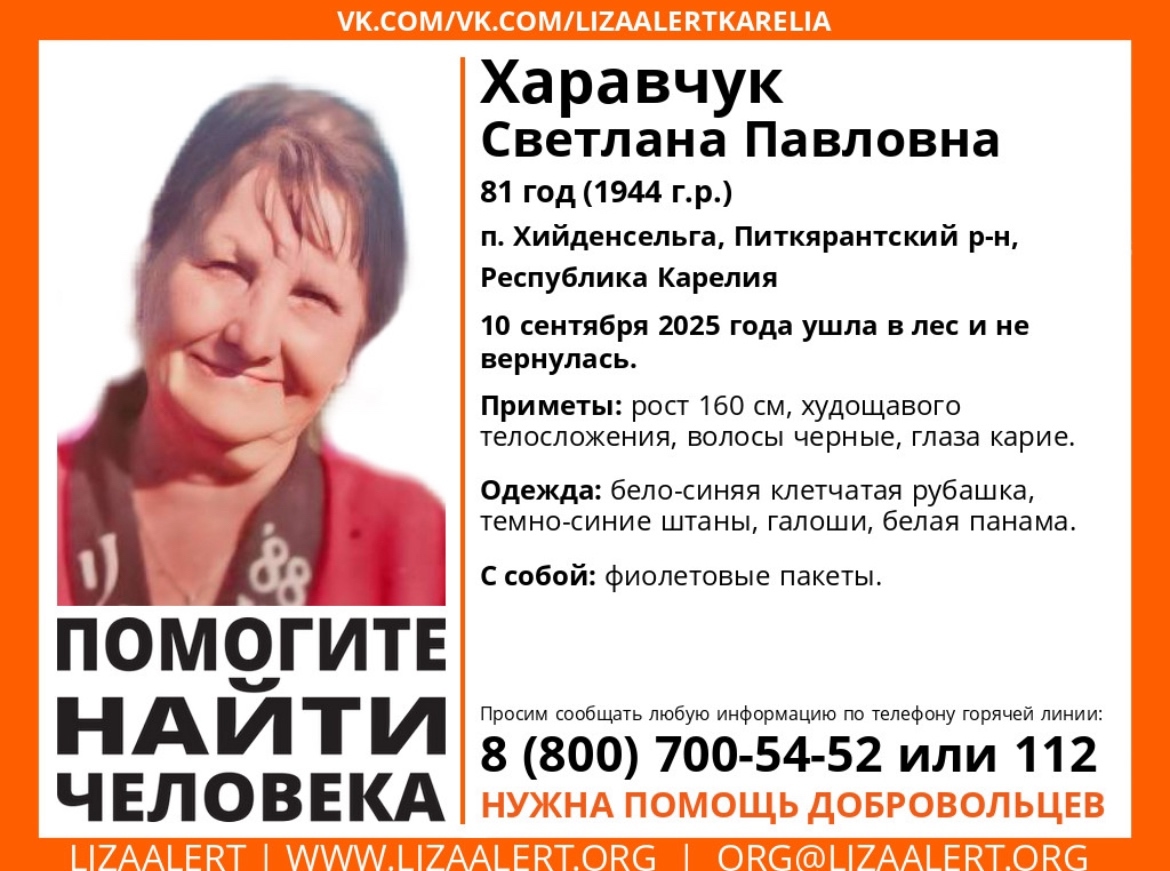 Поисковый отряд «ЛизаАлерт» ищет пропавшую пенсионерку в Питкярантском районе