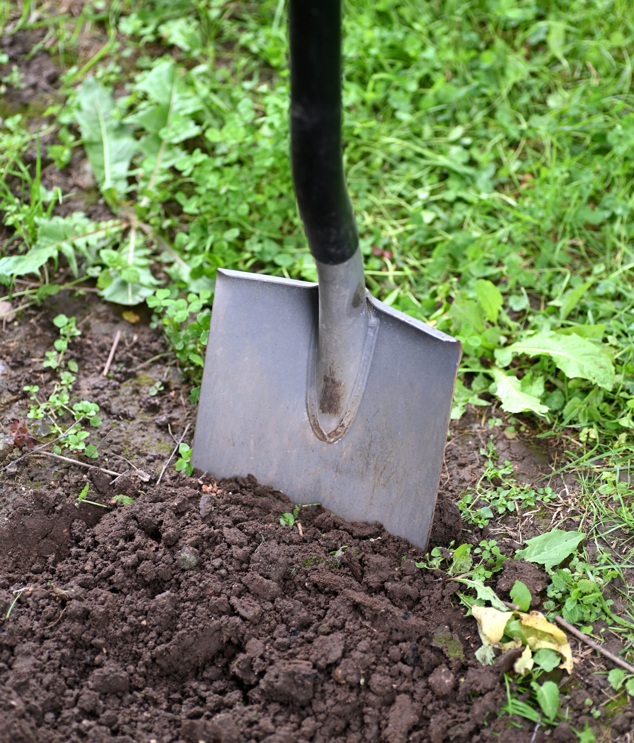 Новосибирские могильщики заняли последнее место на международном конкурсе