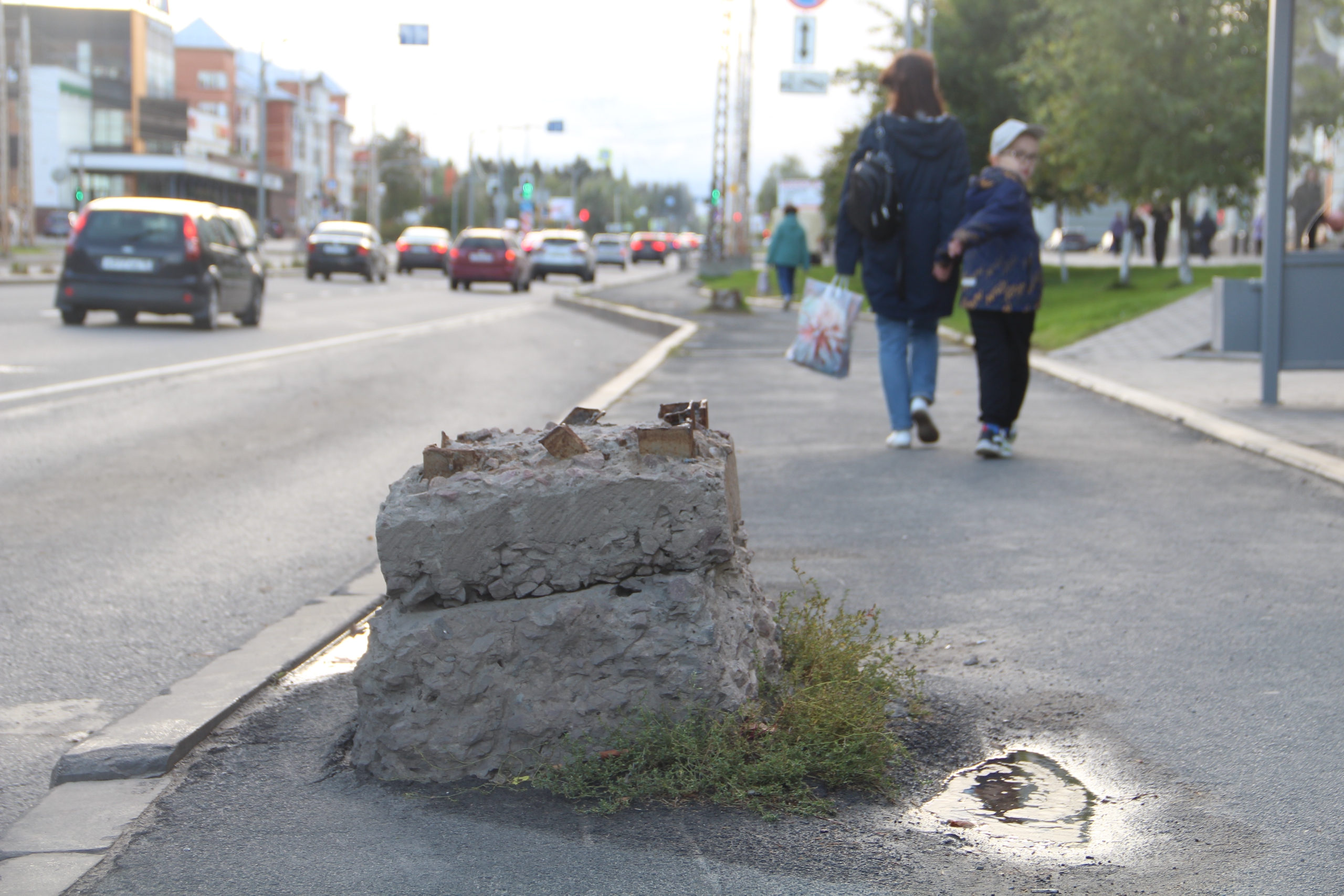 В Петрозаводске спилят опасную арматуру на улице Чапаева